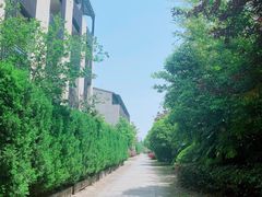 -上海崇明金茂凯悦酒店