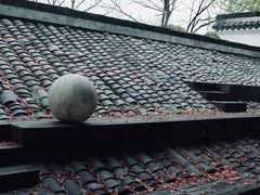 -日出青木