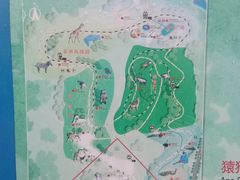 -秦皇岛野生动物园