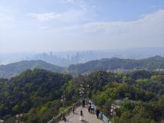 -大金鹰园