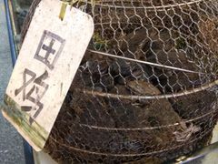 -珠光市场(文德南路)
