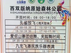 -西双版纳原始森林公园