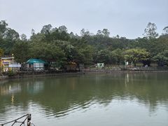-大雁山风景区