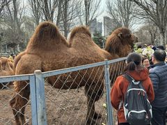 -长白岛森林公园