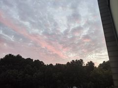 -华莱士·全鸡汉堡(佛城西路店)