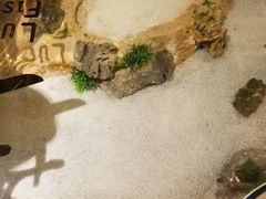 -九九私厨(石溪店)