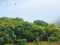 -宝岩生态观光园