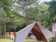 -陶缘一号·四季缘·老字号顺德菜·户外婚礼家宴(西滘店)