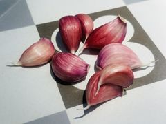 -勇利赵家烤肉坊(翠华北路店)