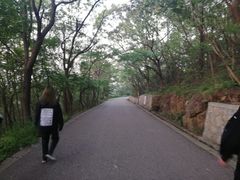 -紫金山山顶公园