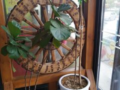 -山沟沟羊小馆&烤全羊羊肉汤(麦岛店)