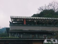 -龙井村