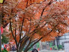 -茅山东方盐湖城景区