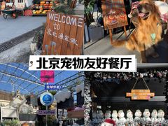 -京北渔家傲