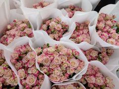 -昆明国际花卉拍卖交易中心