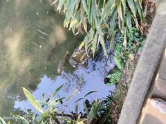 -杭州黄龙洞