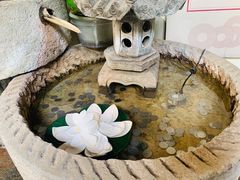 -茶花妹子云南餐厅(传媒大学店)