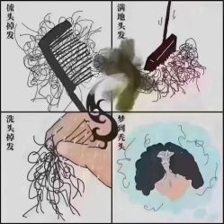 -诗碧曼养发