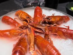 -红盔甲·小龙虾(人民广场店)