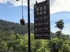 -呀诺达热带雨林