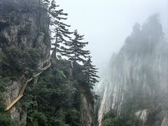 -老君山风景名胜区