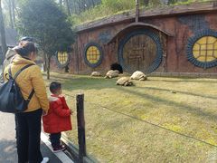 -贵州森林野生动物园