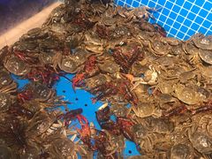 -乔哥铭洋海鲜自助(皇城恒隆广场店)