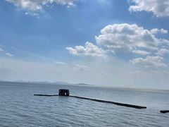 -贡湖湾湿地公园