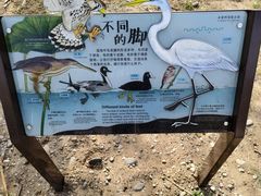 -绿堤公园