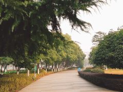-玉山公园