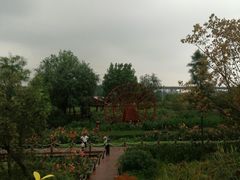 -那考河湿地公园