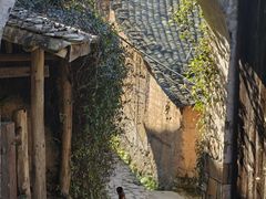 -杨家堂村