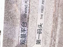 -演武大桥观景平台