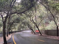 -南国桃园旅游度假区