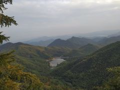 -怪咖·joker陈楠