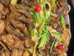 -老板恋上鱼(恒隆广场店)