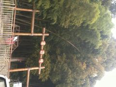 -罗田薄刀峰风景区