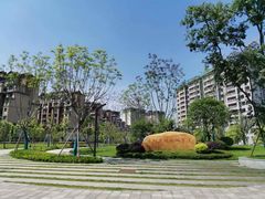 -大渡口区义渡公园