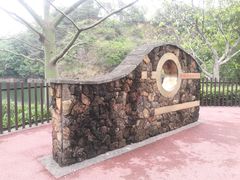 -王借岗森林公园