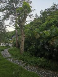 点击看大图 -爱帝宫月子中心(罗湖别墅院)