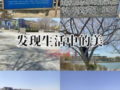 -天津金海湖