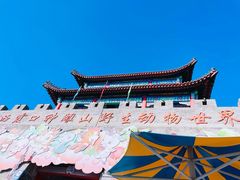 -西霞口神雕山野生动物世界