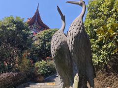 -开福禅寺