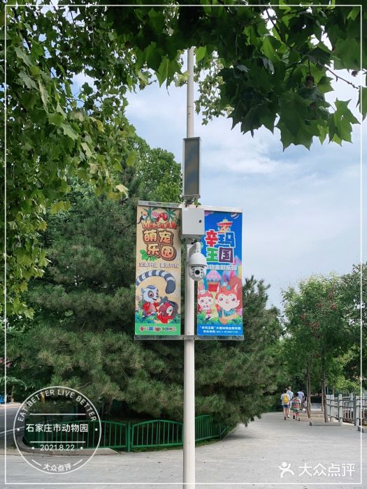 石家庄市动物园图片