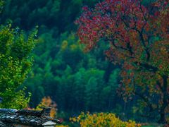 -塔川景区