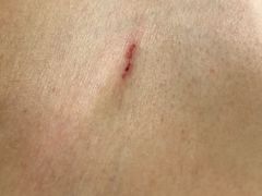 -大赏足道(全运店)