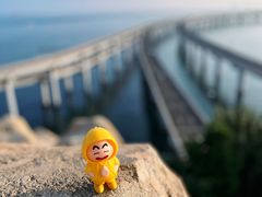 -星海湾跨海大桥