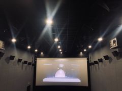 -SFC上影影城(港汇永华IMAX激光店)