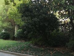 -朗诗·虹桥绿郡