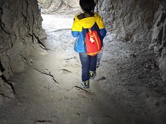 -上海佘山国家森林公园天马山园